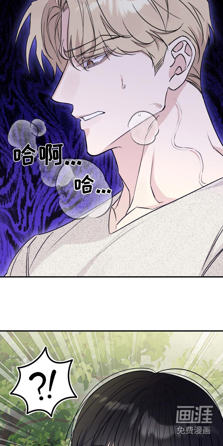 第28章：爬山
