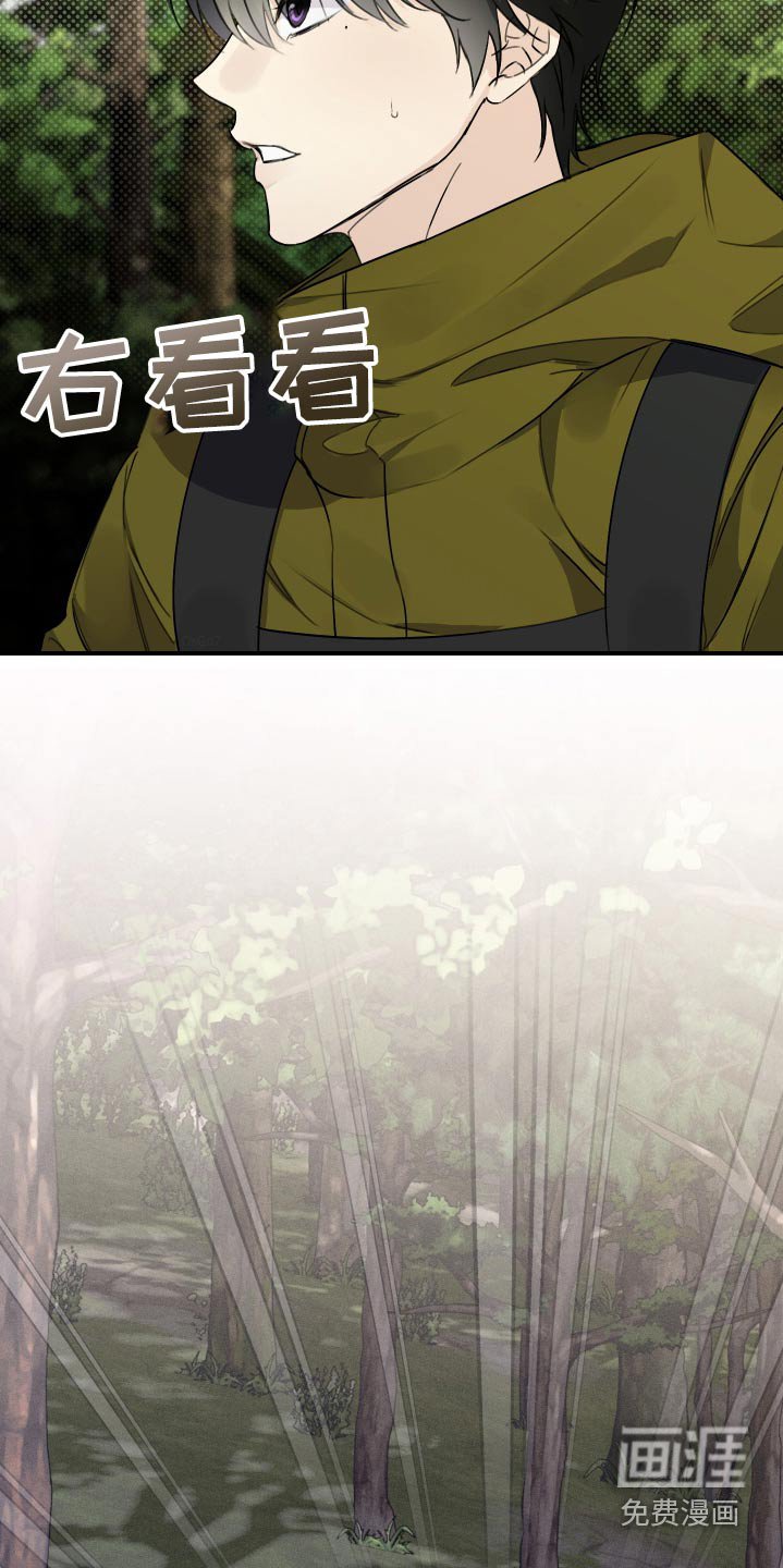 第29章：清醒点