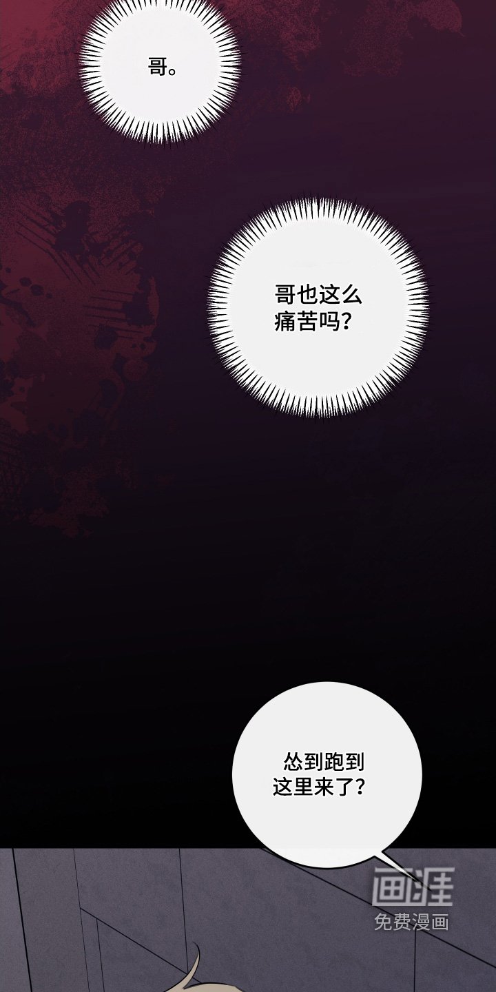 第45章：住手
