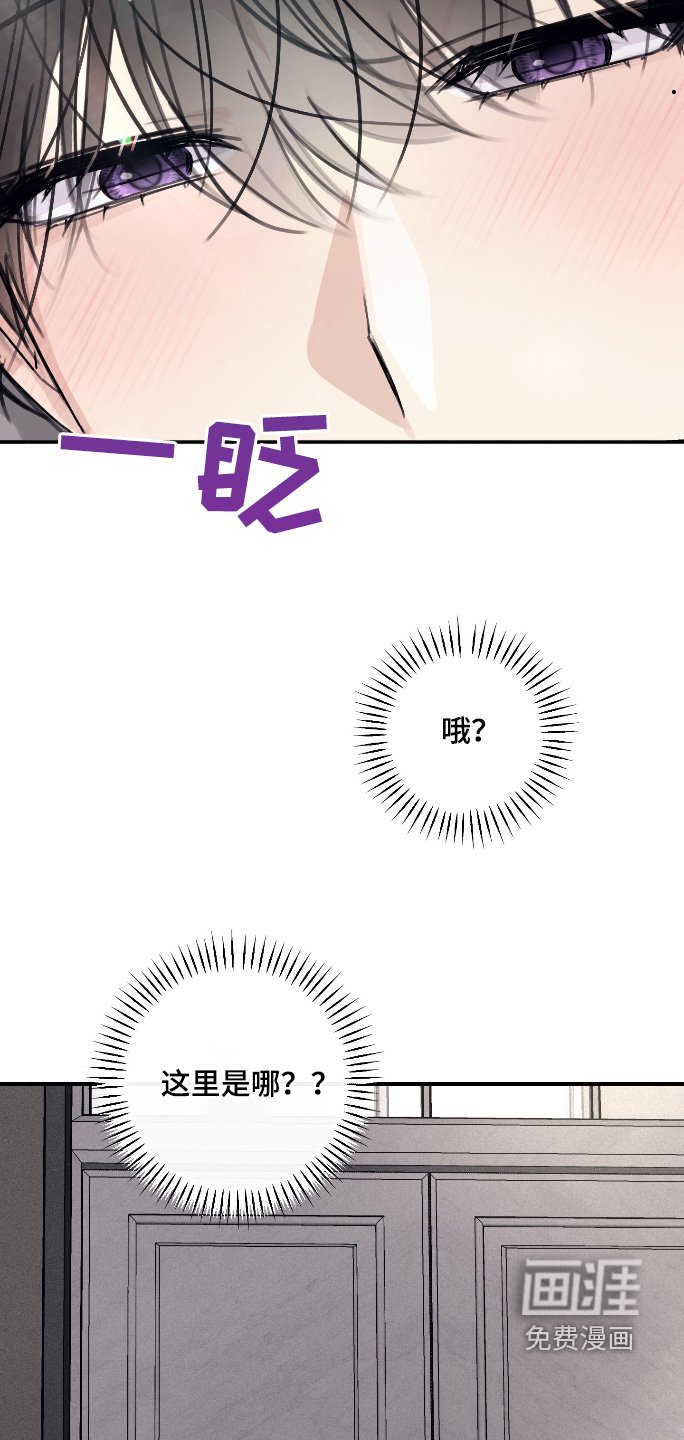 第48章：真的是这个