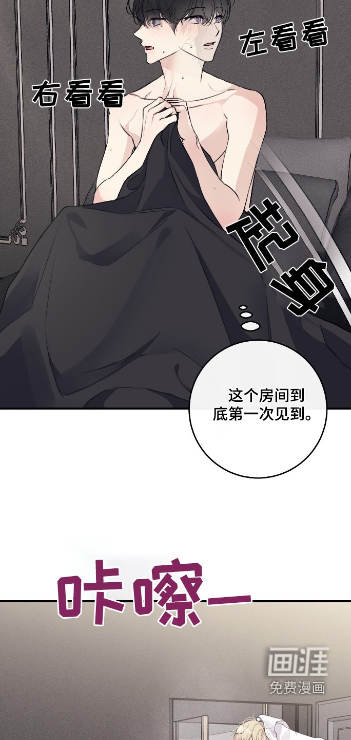 第48章：真的是这个