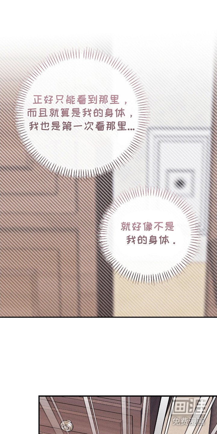 第6章：初体验