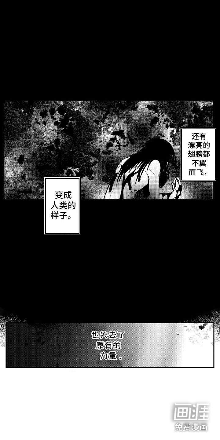 第11章：魔族往事
