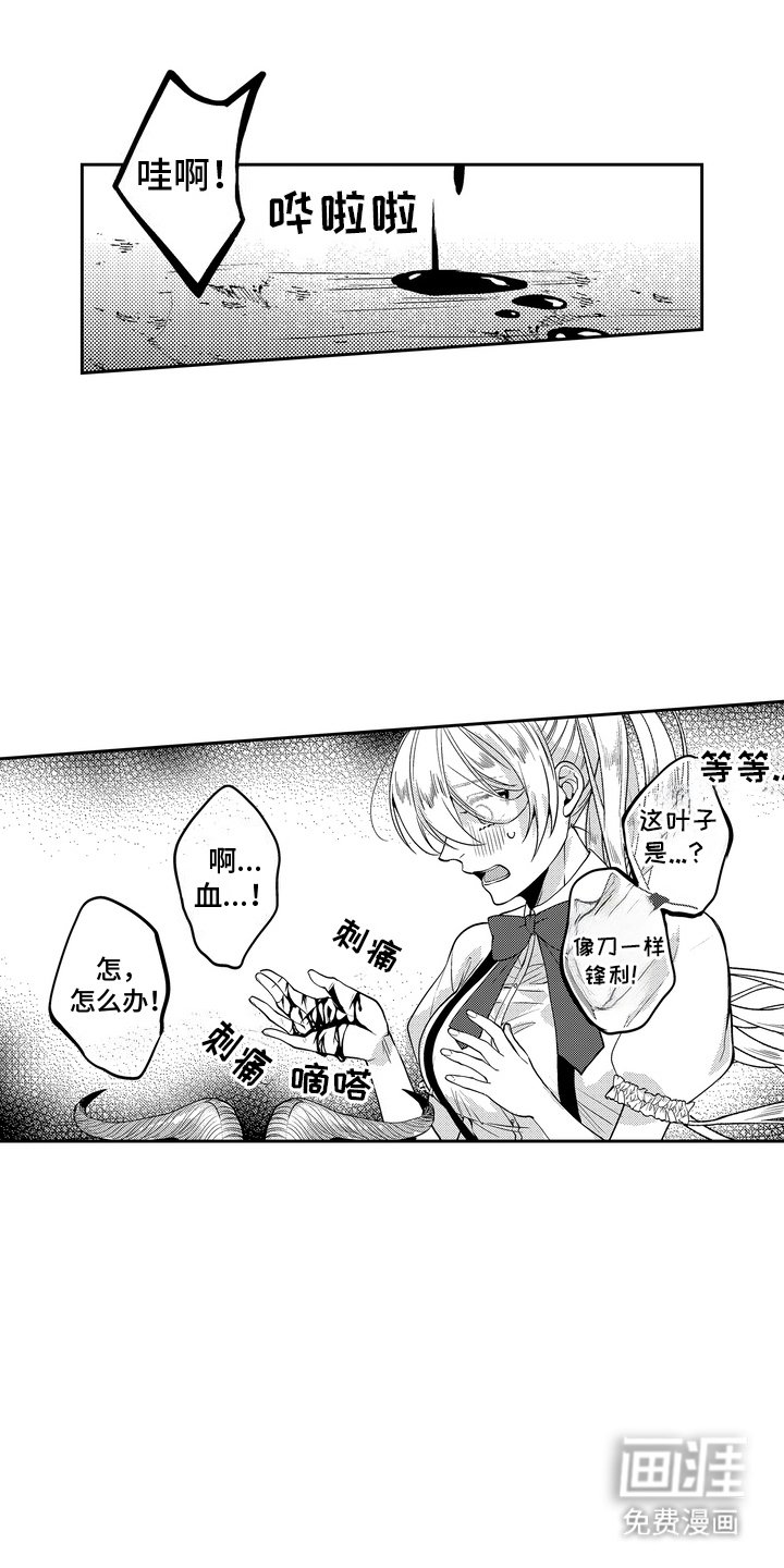 第12章：伤口