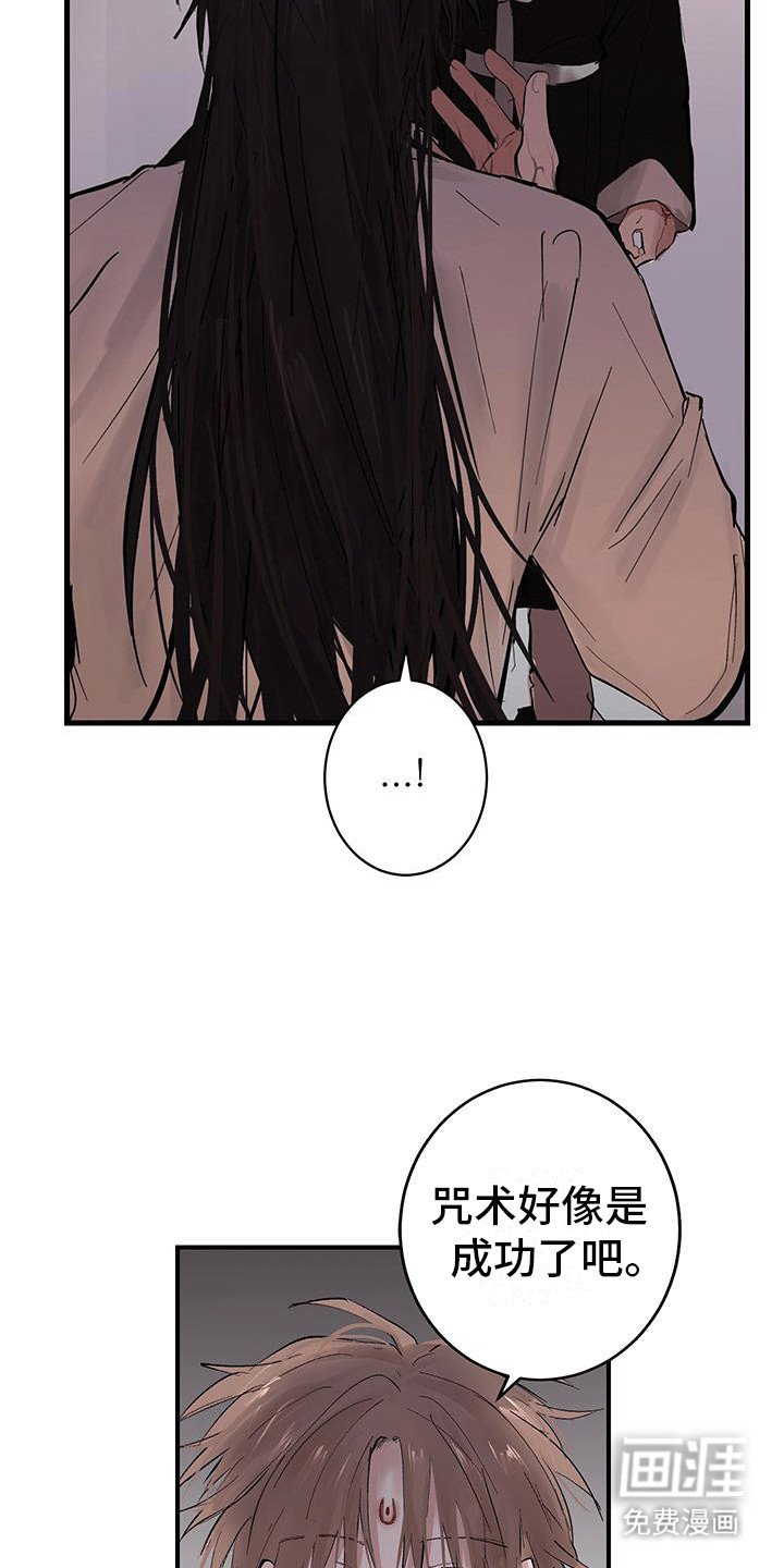 第13章：诅咒
