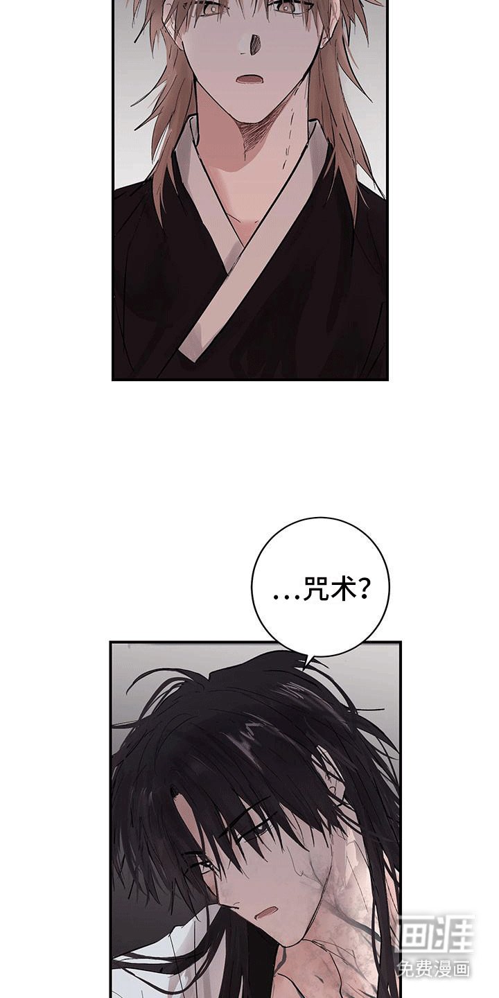 第13章：诅咒