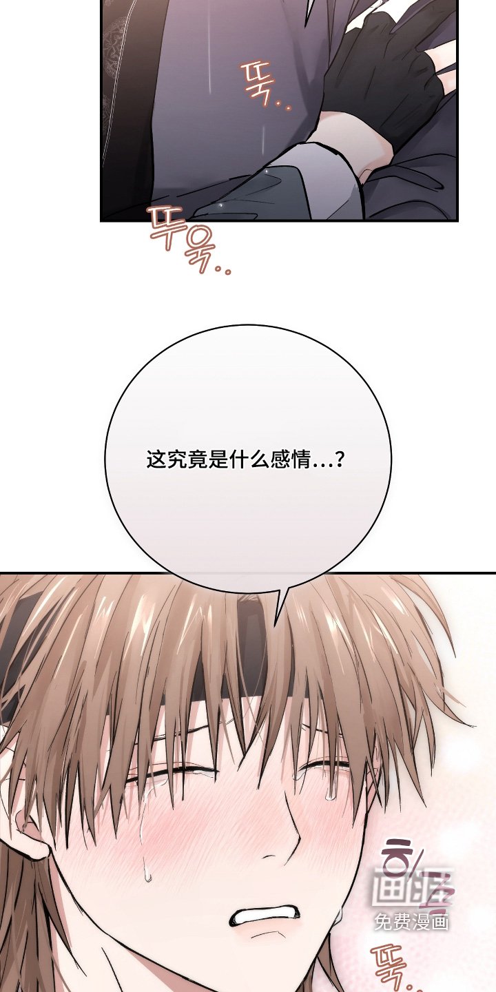 第38章：【第二季】试探一次