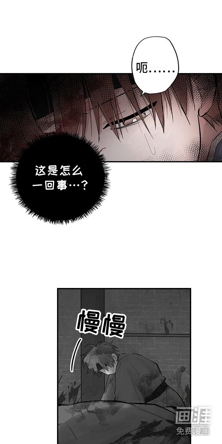 第8章：凶杀