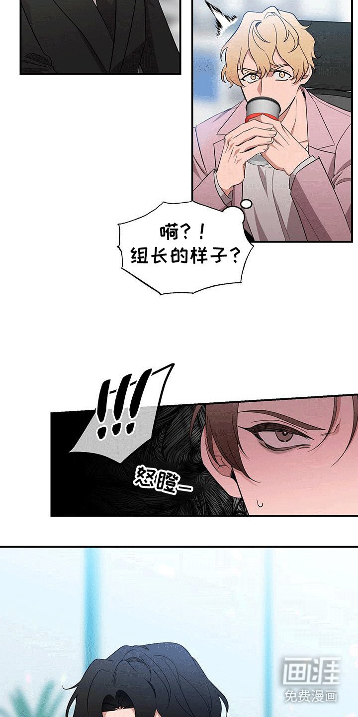 第2章：一见钟情