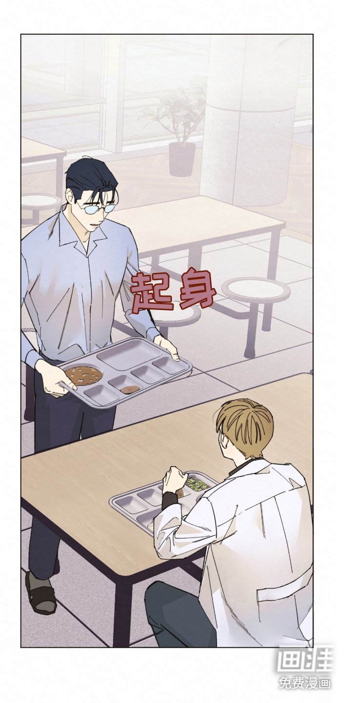 第3章：理想型