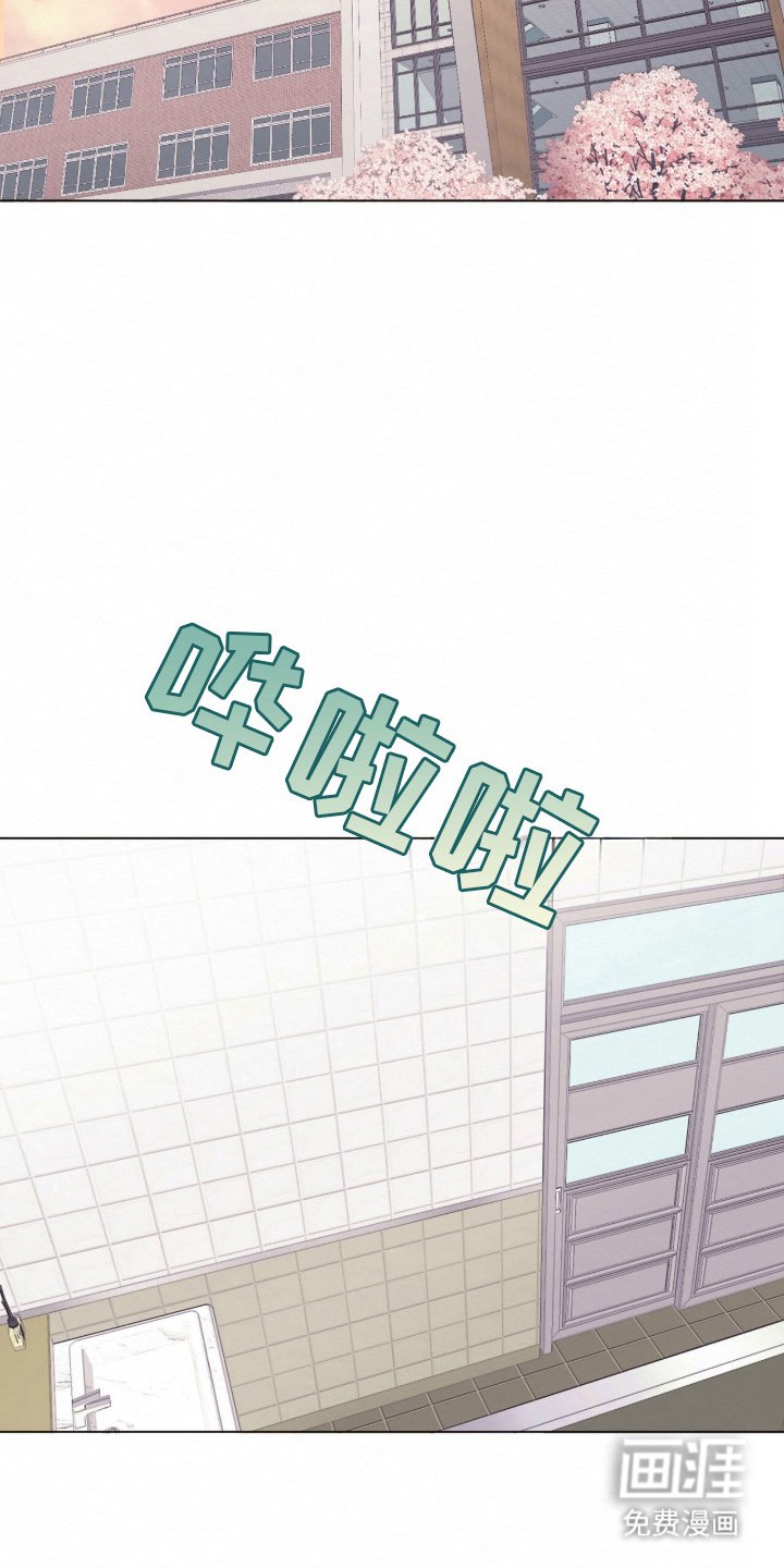第3章：理想型