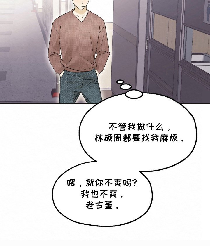 第3章：理想型