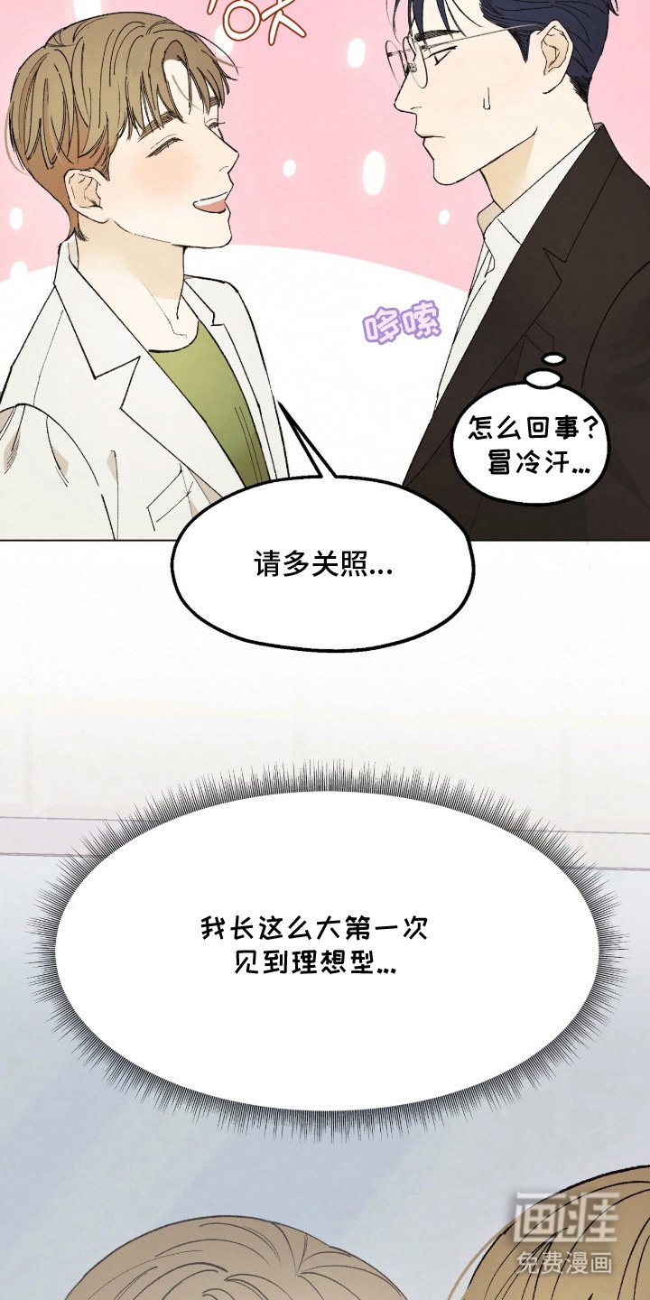 第3章：理想型