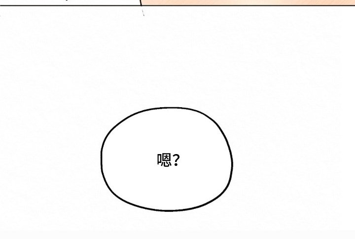 第3章：理想型