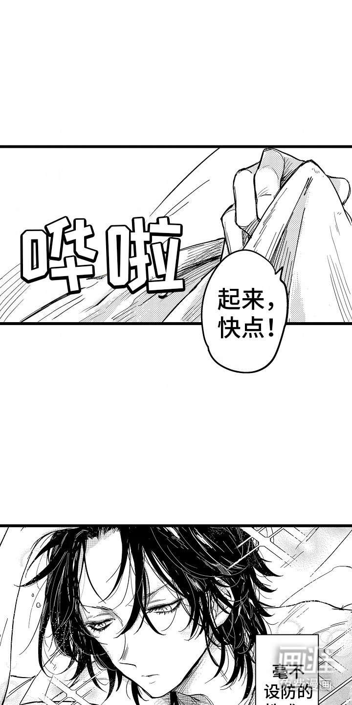 第1章：荷尔蒙禁止