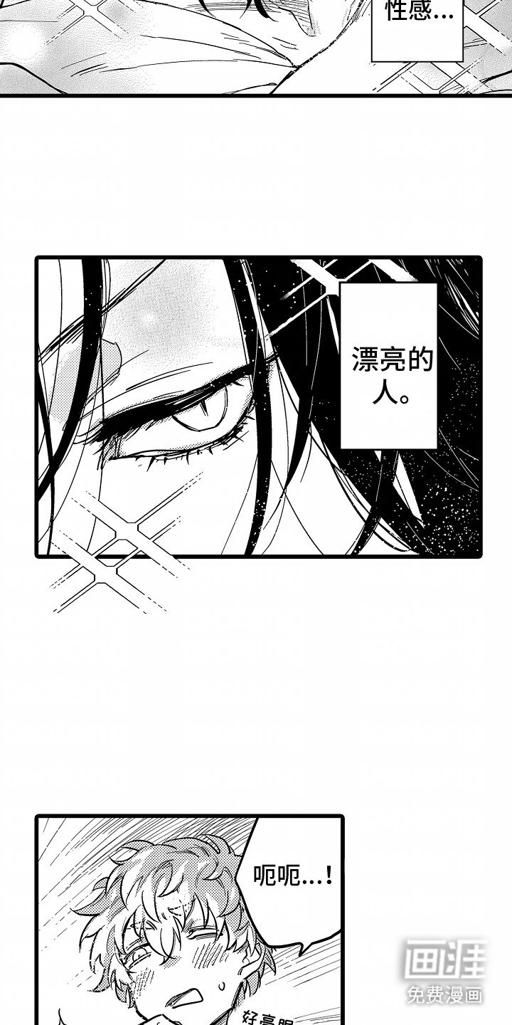 第1章：荷尔蒙禁止