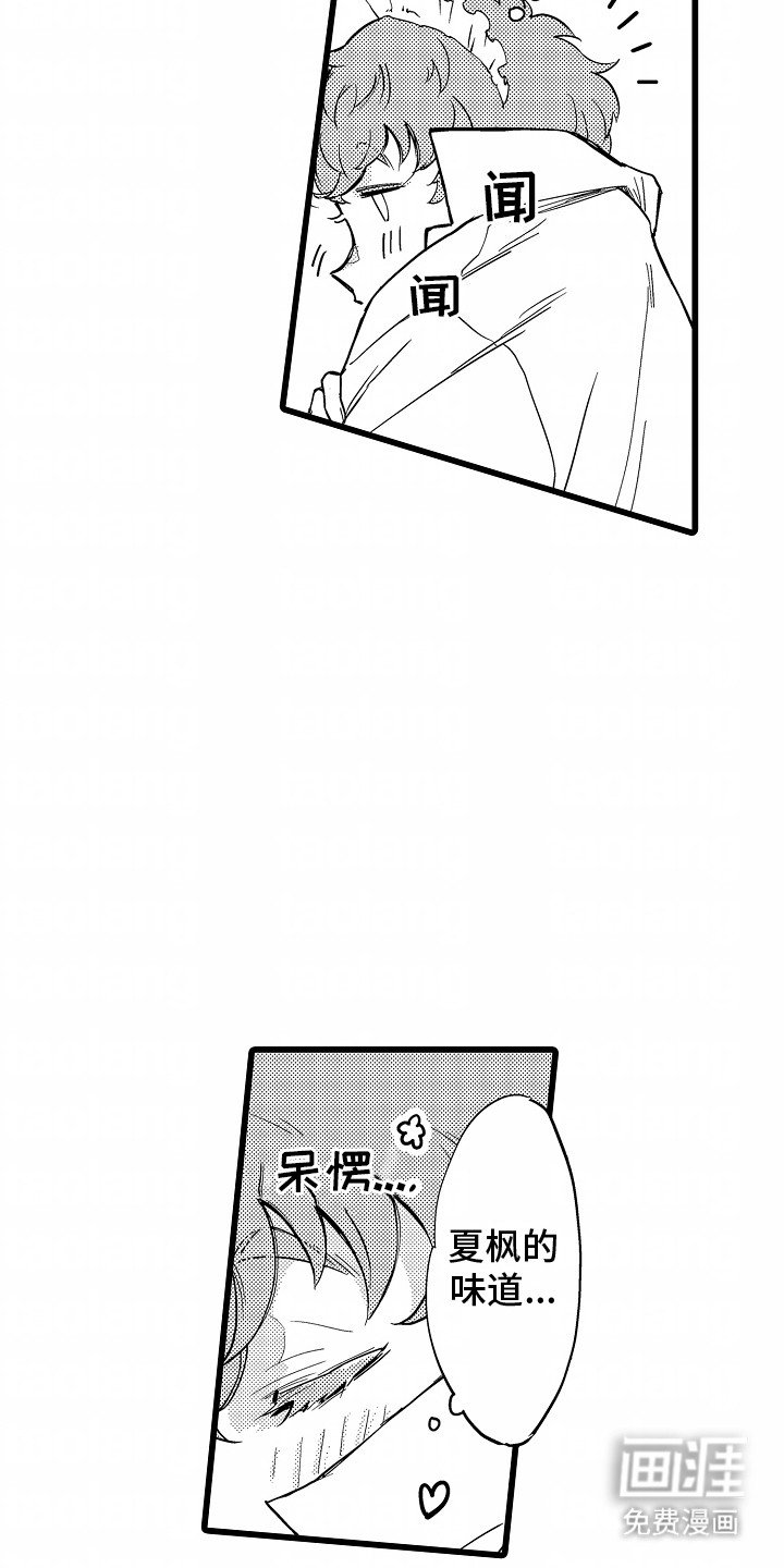 第13章：带走
