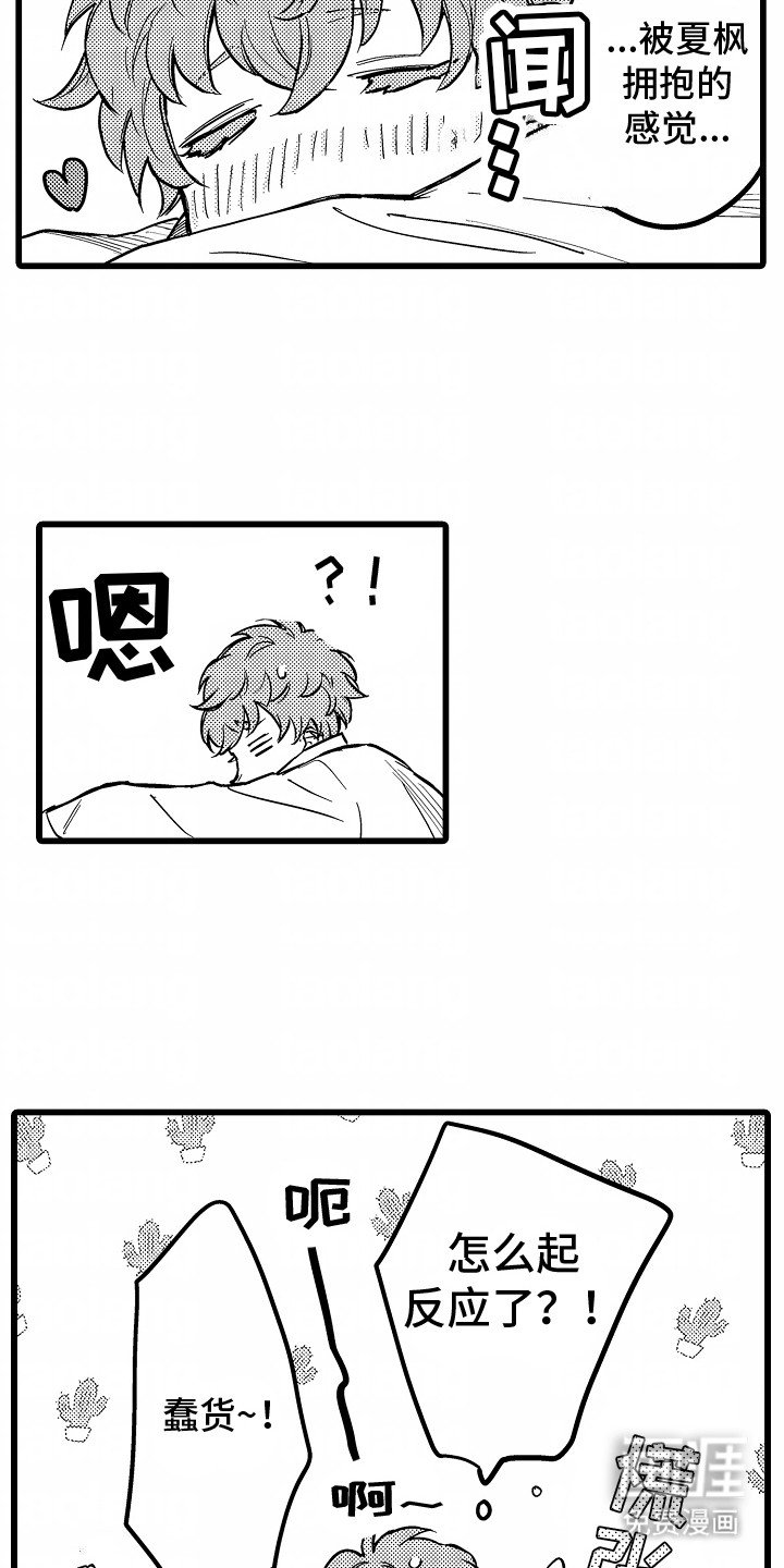 第6章：抓包