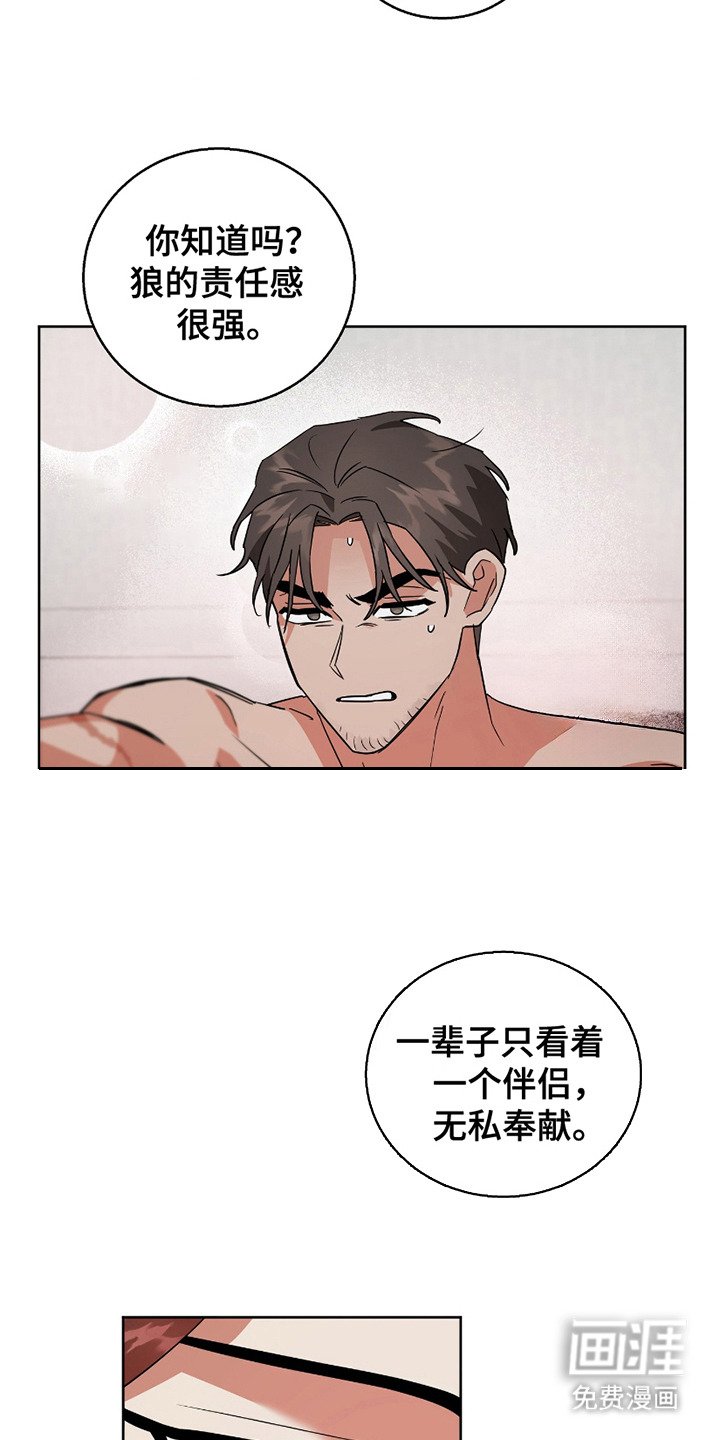 第13章：专属能力者（完结）