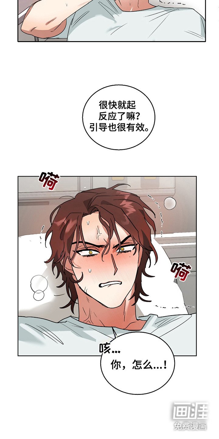 第3章：同步现象