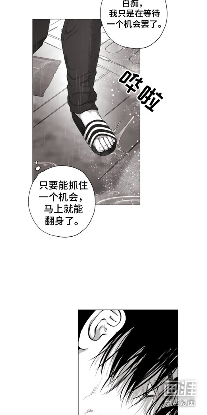 第1章：曾经的冠军