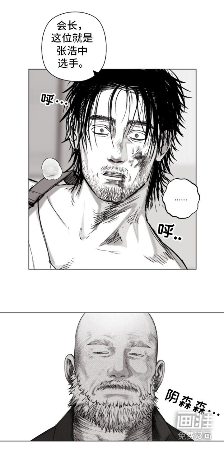 第12章：尊重点