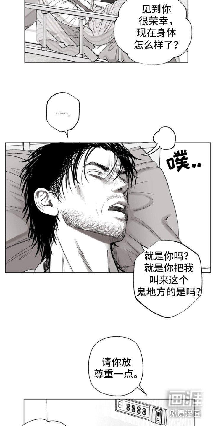 第12章：尊重点