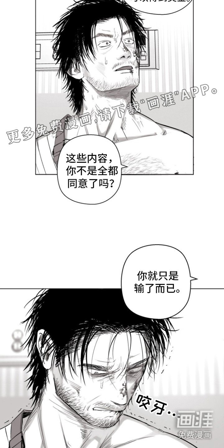 第12章：尊重点
