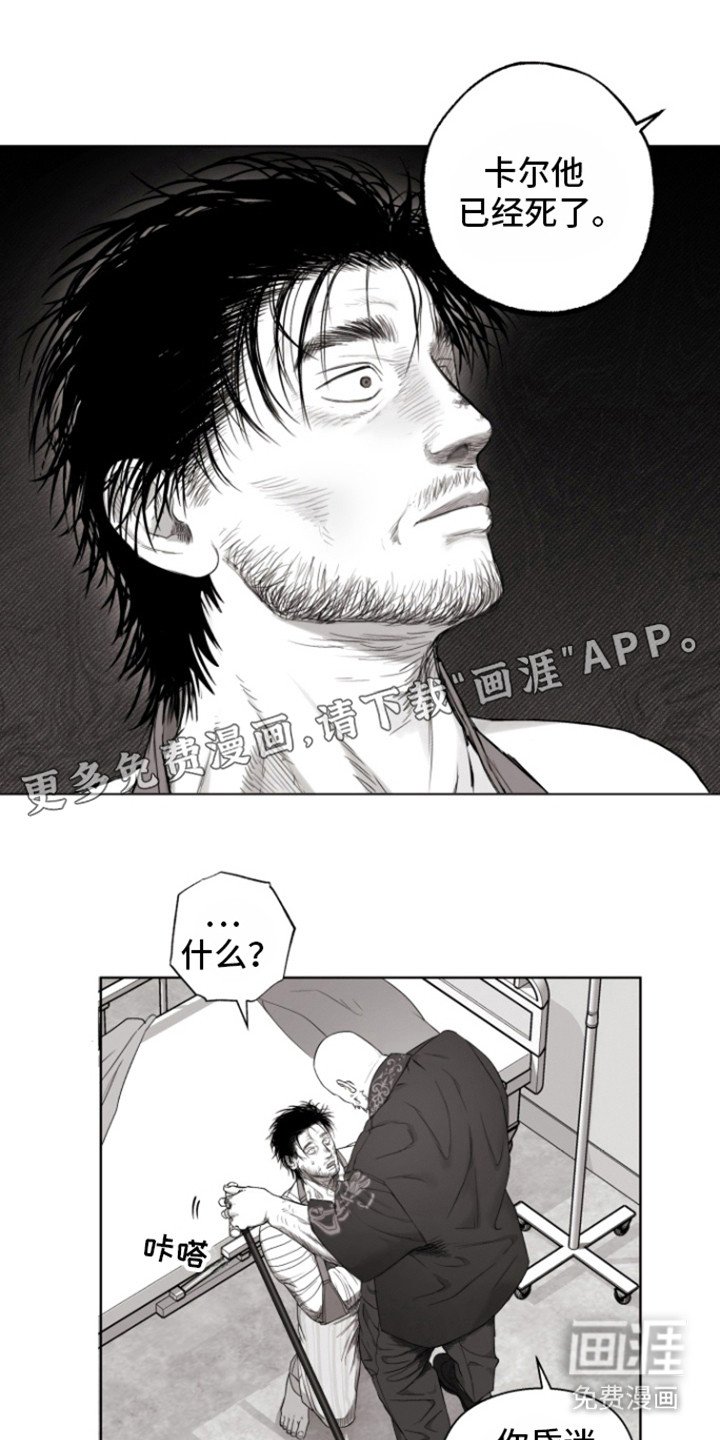 第14章：里基