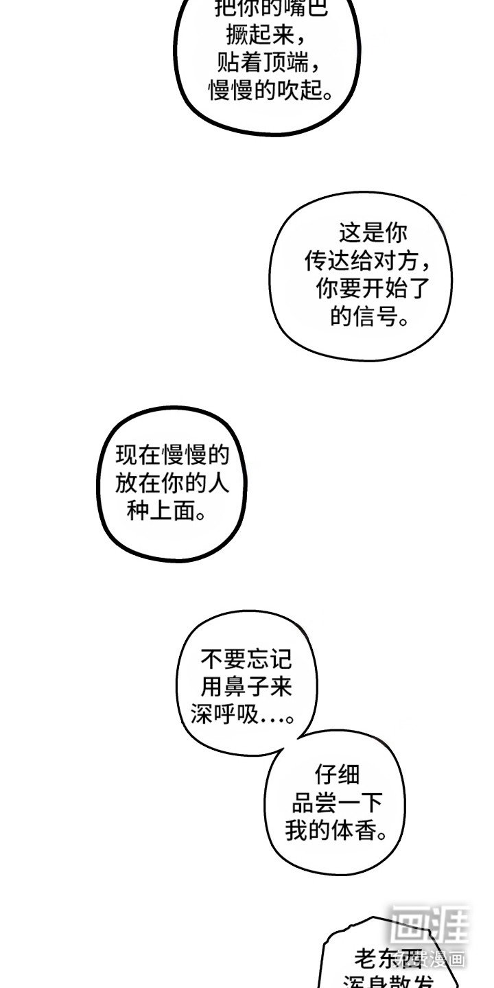 第14章：里基