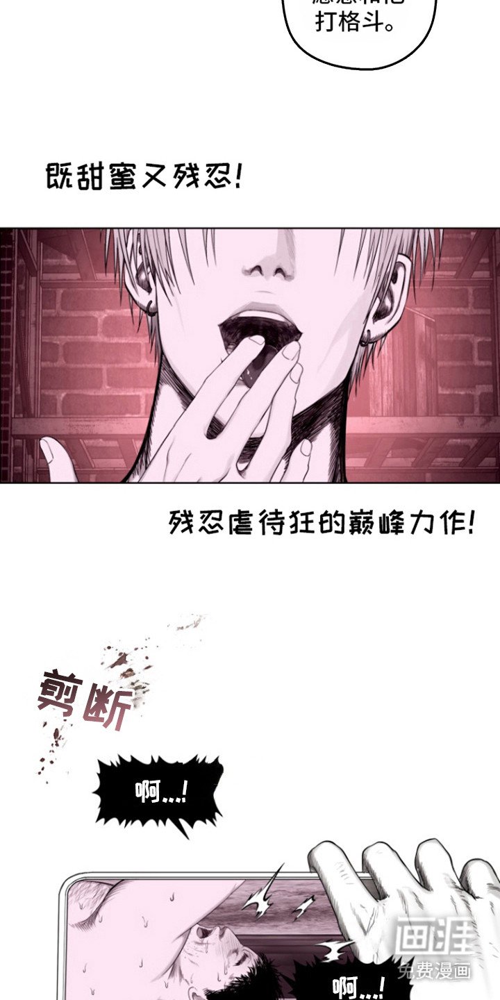第14章：里基