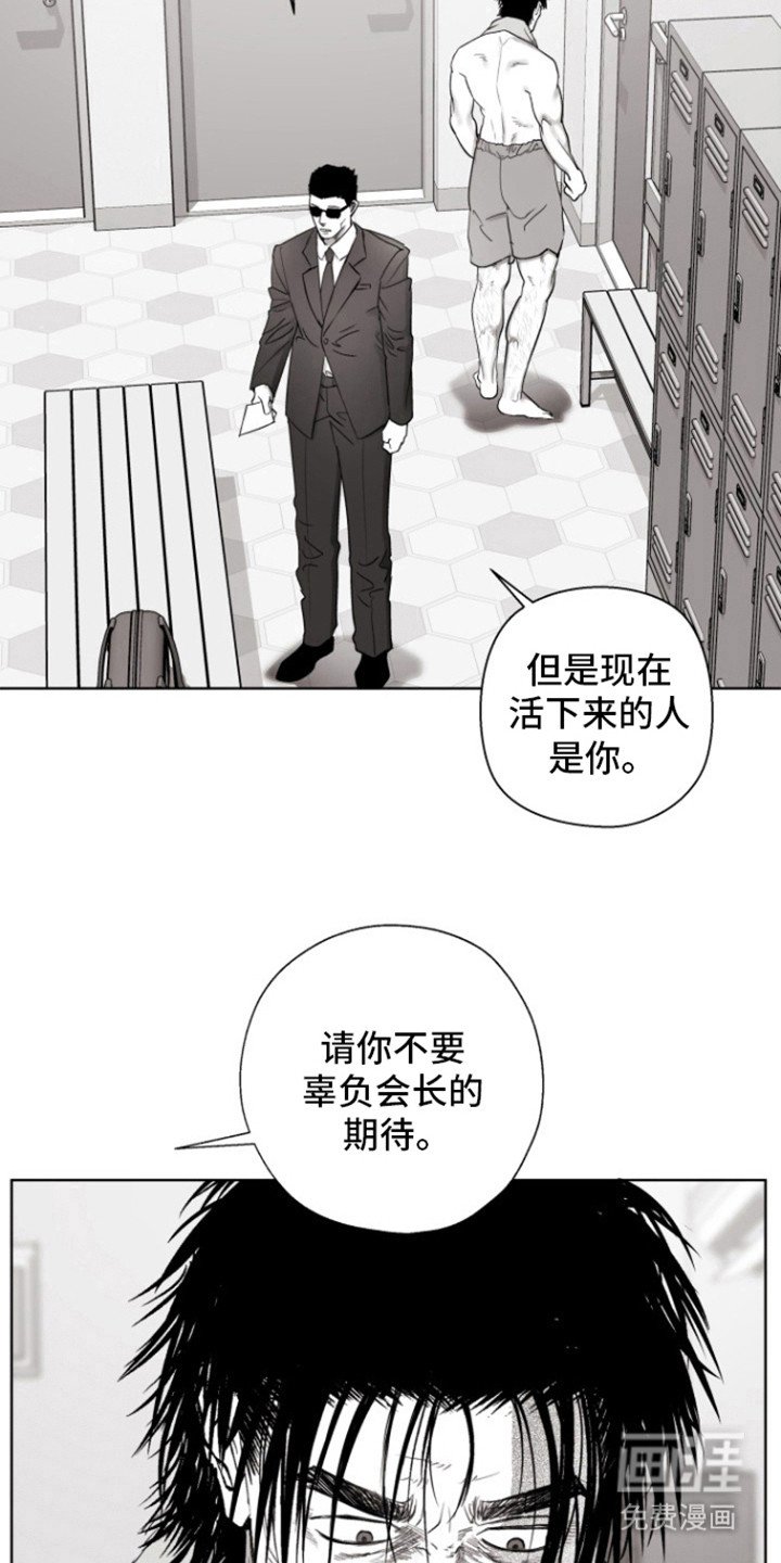 第14章：里基