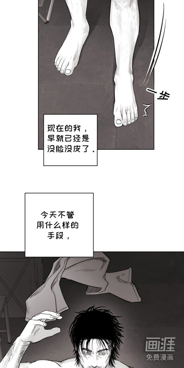 第14章：里基