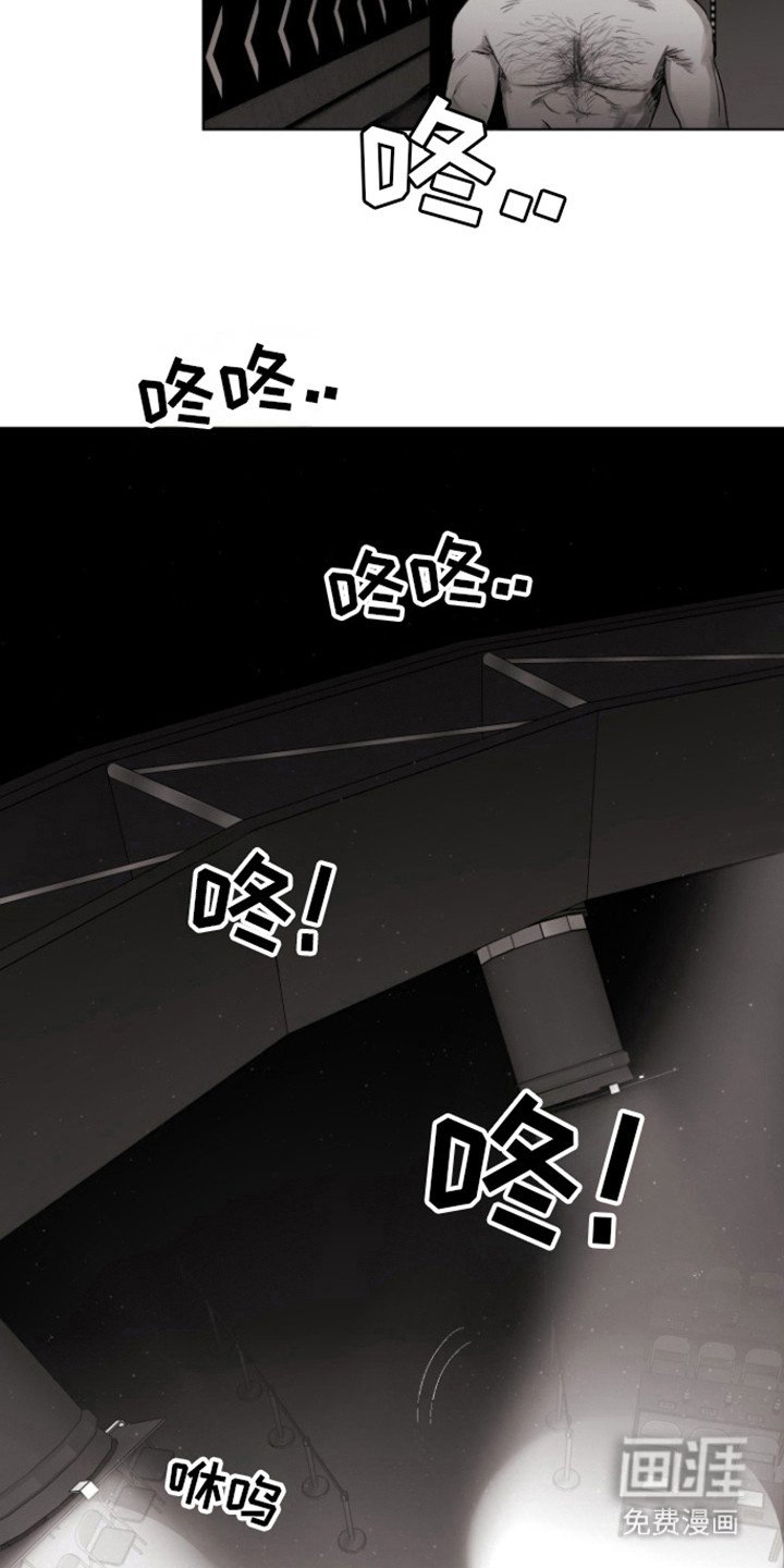 第14章：里基