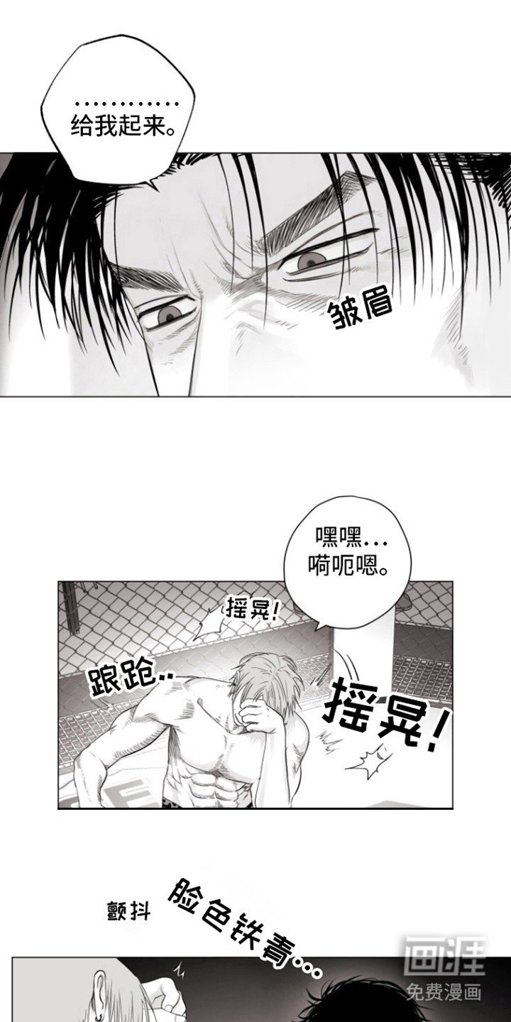 第16章：特别比赛