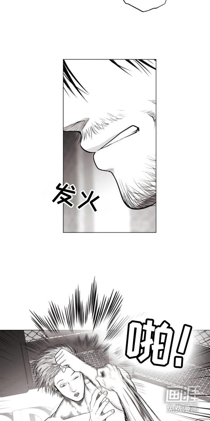 第16章：特别比赛
