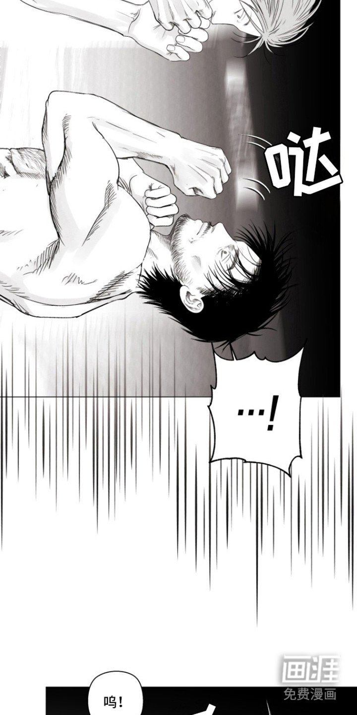 第16章：特别比赛