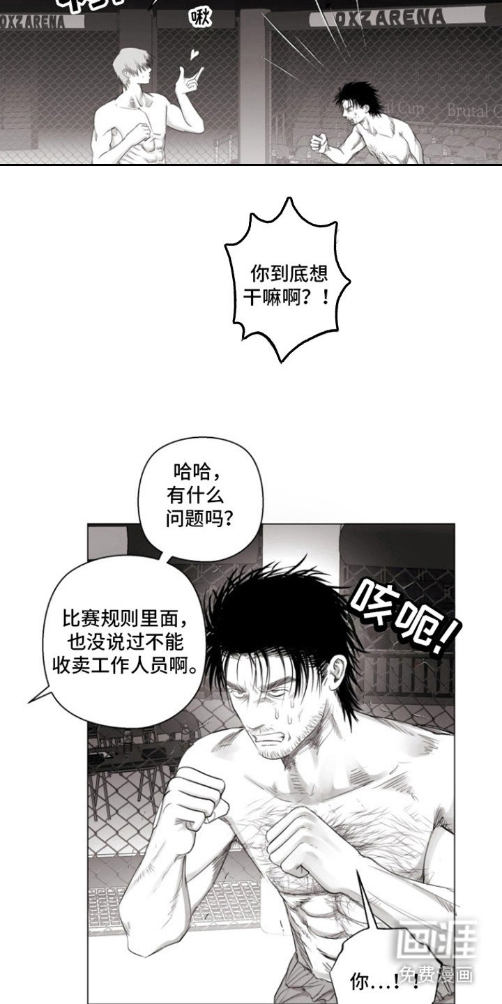 第16章：特别比赛