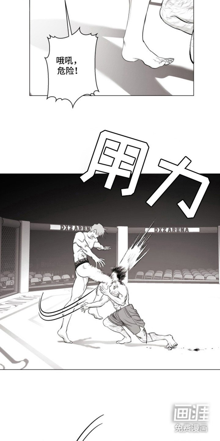 第17章：危险