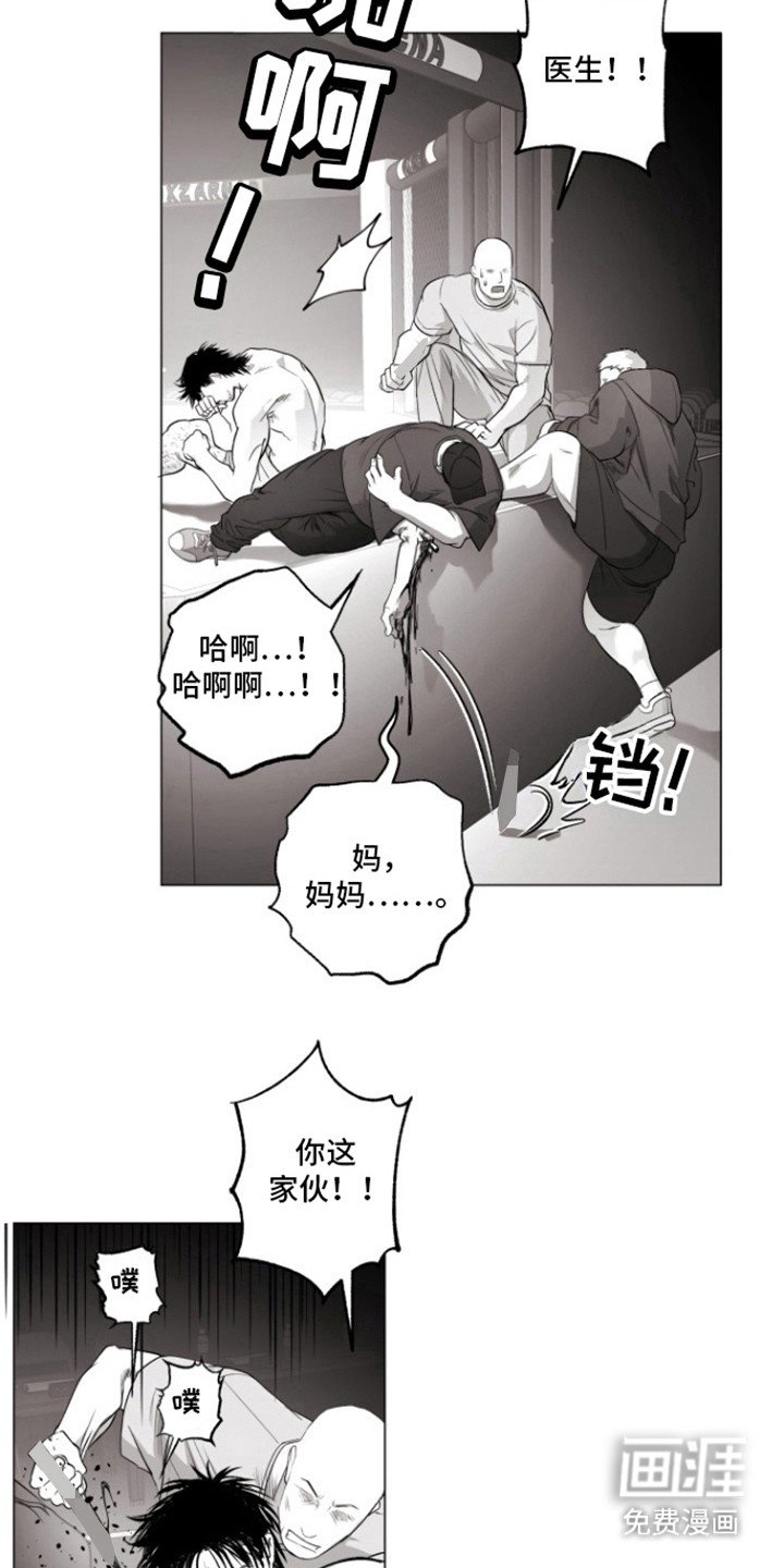 第19章：让我看看