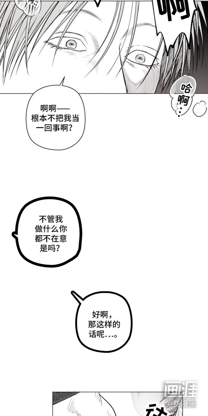第19章：让我看看