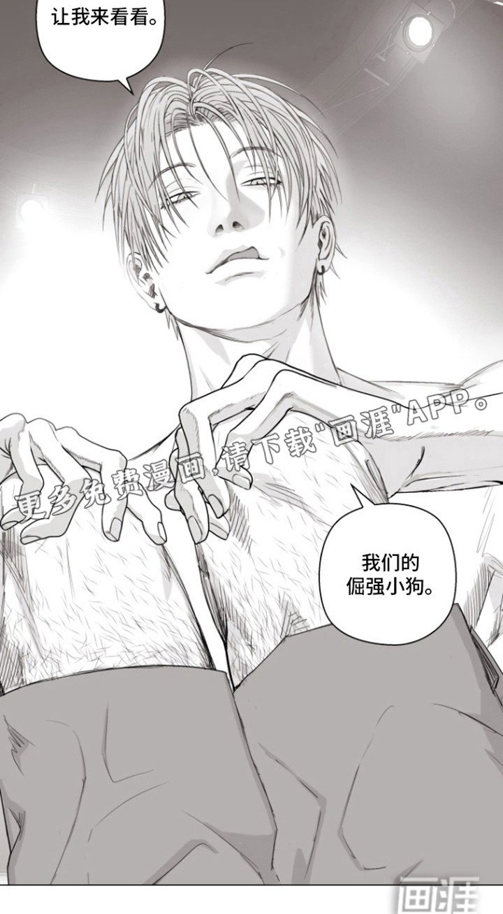 第19章：让我看看