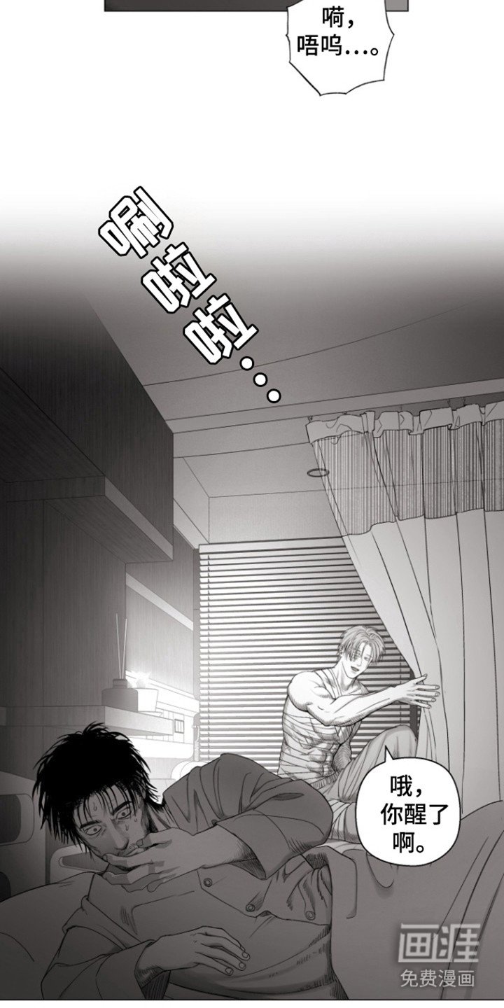 第25章：还活着