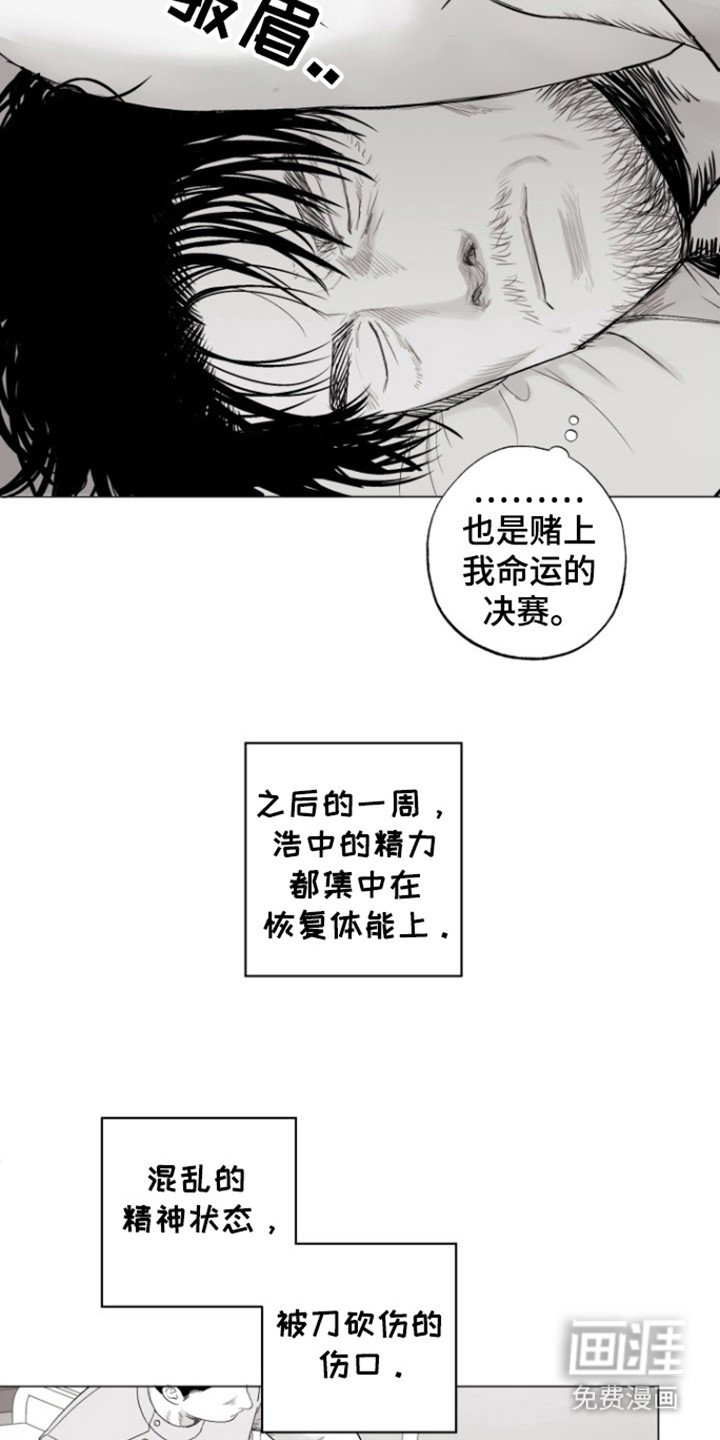 第26章：命运决赛