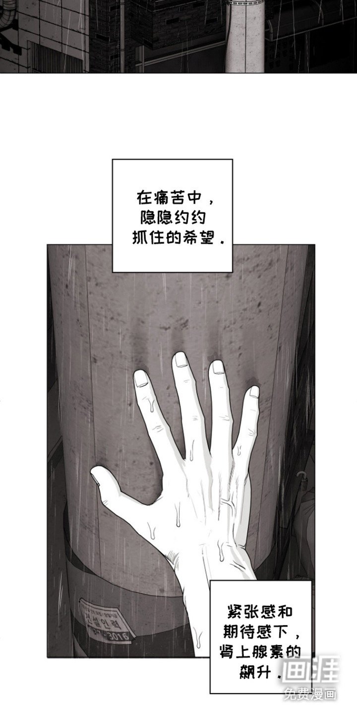 第26章：命运决赛