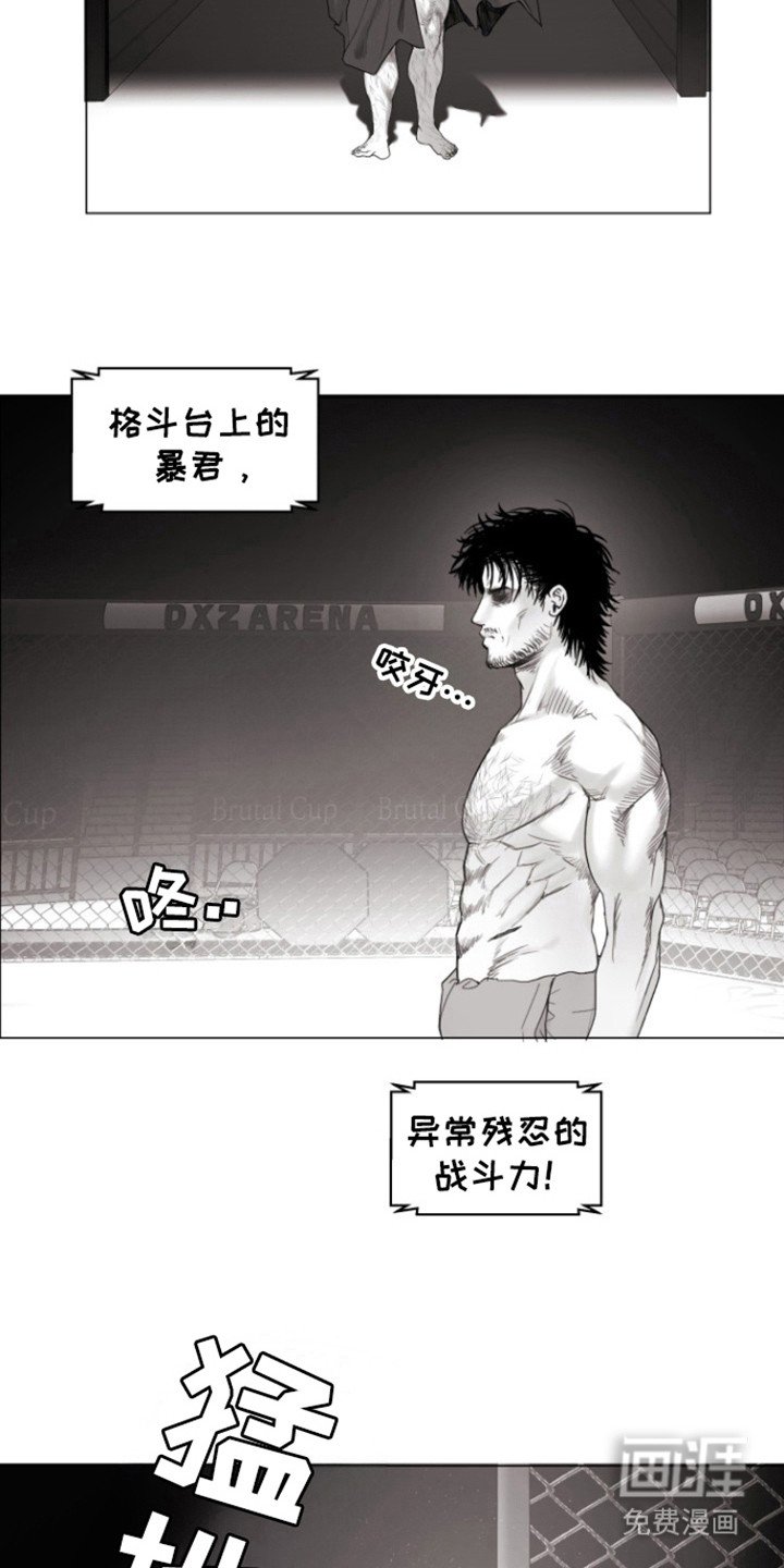 第29章：屠夫
