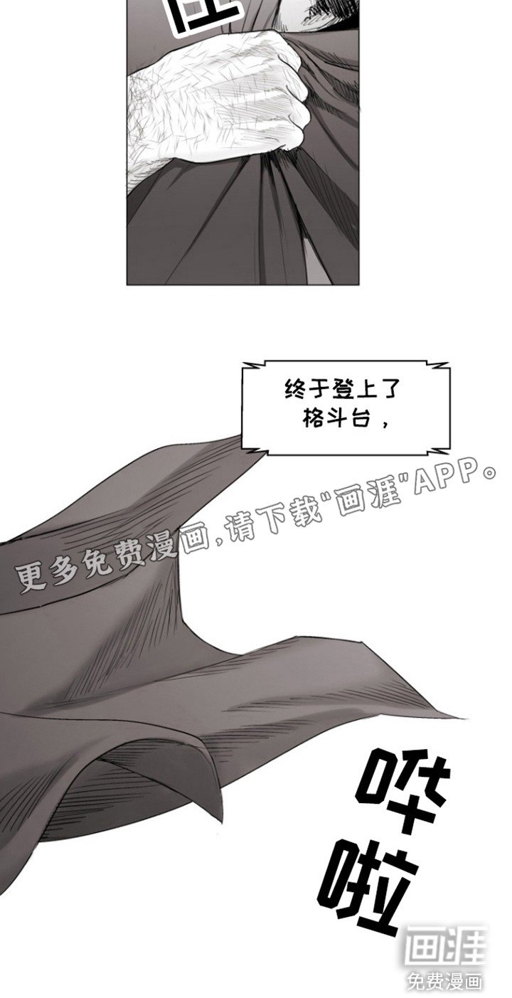 第29章：屠夫