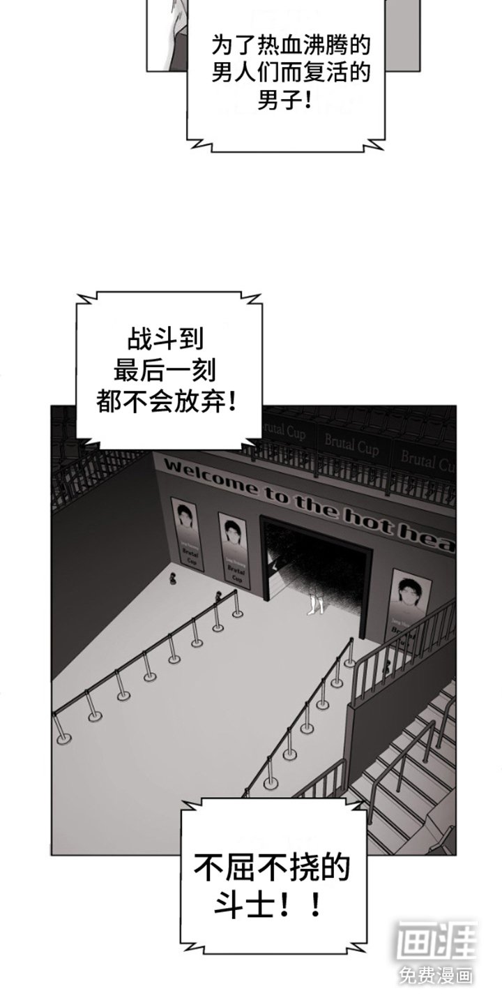 第5章：地下斗技场