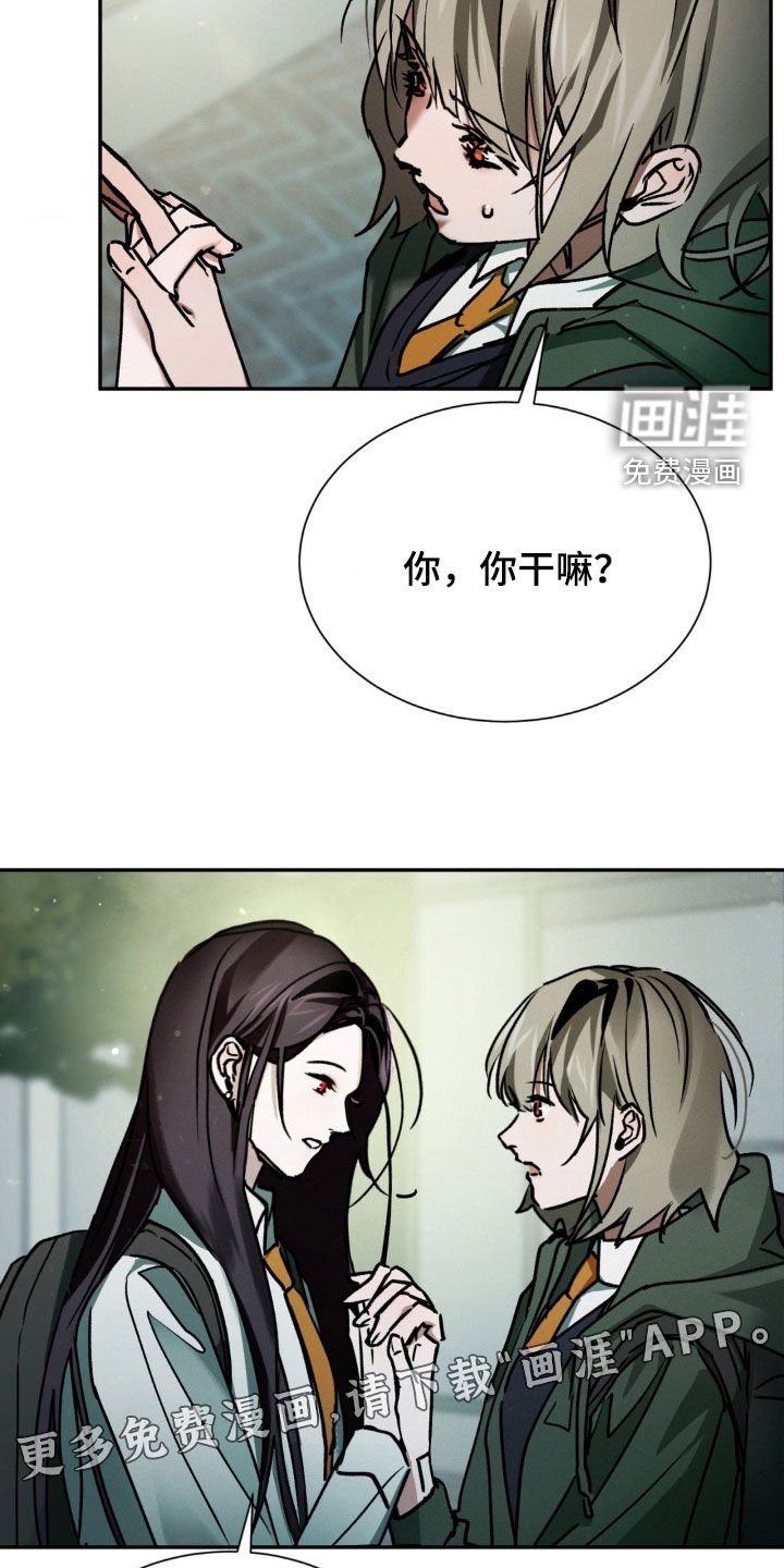 第28章：伤口