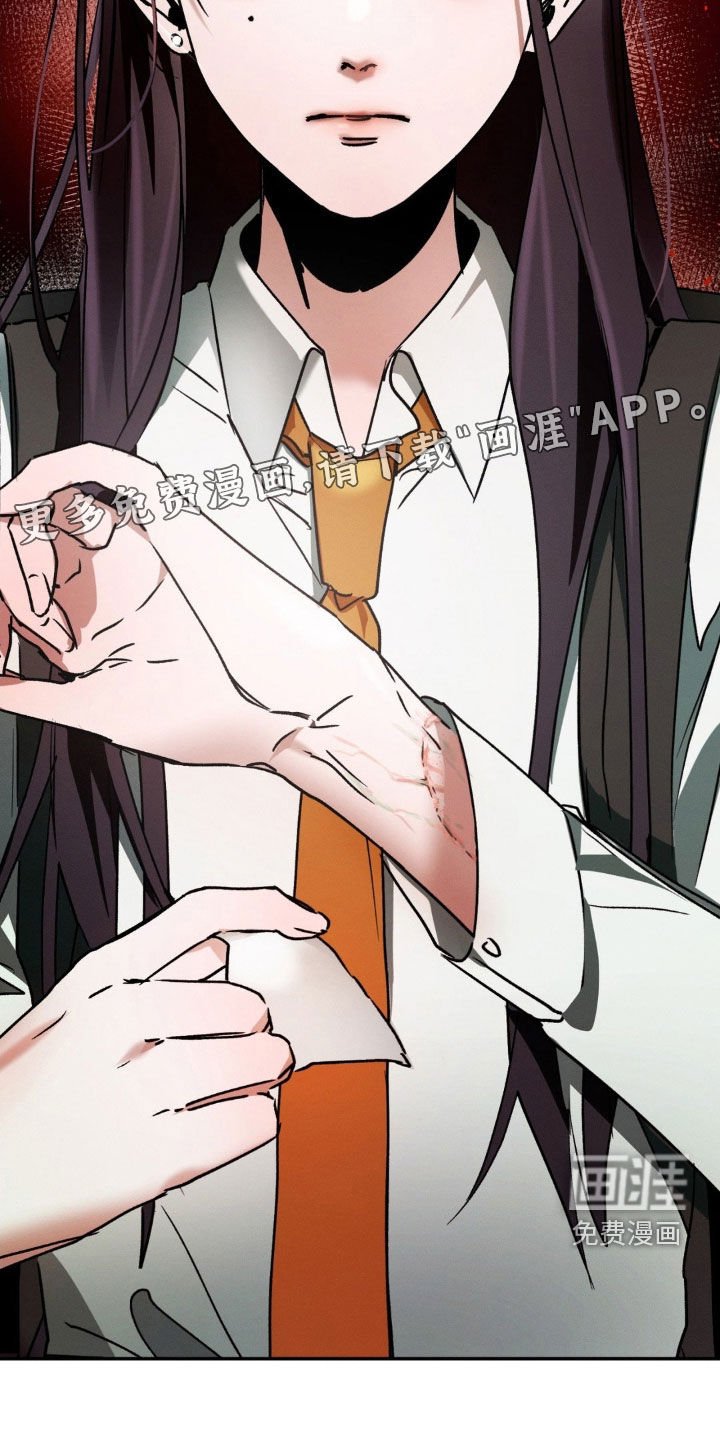 第29章：我们很像